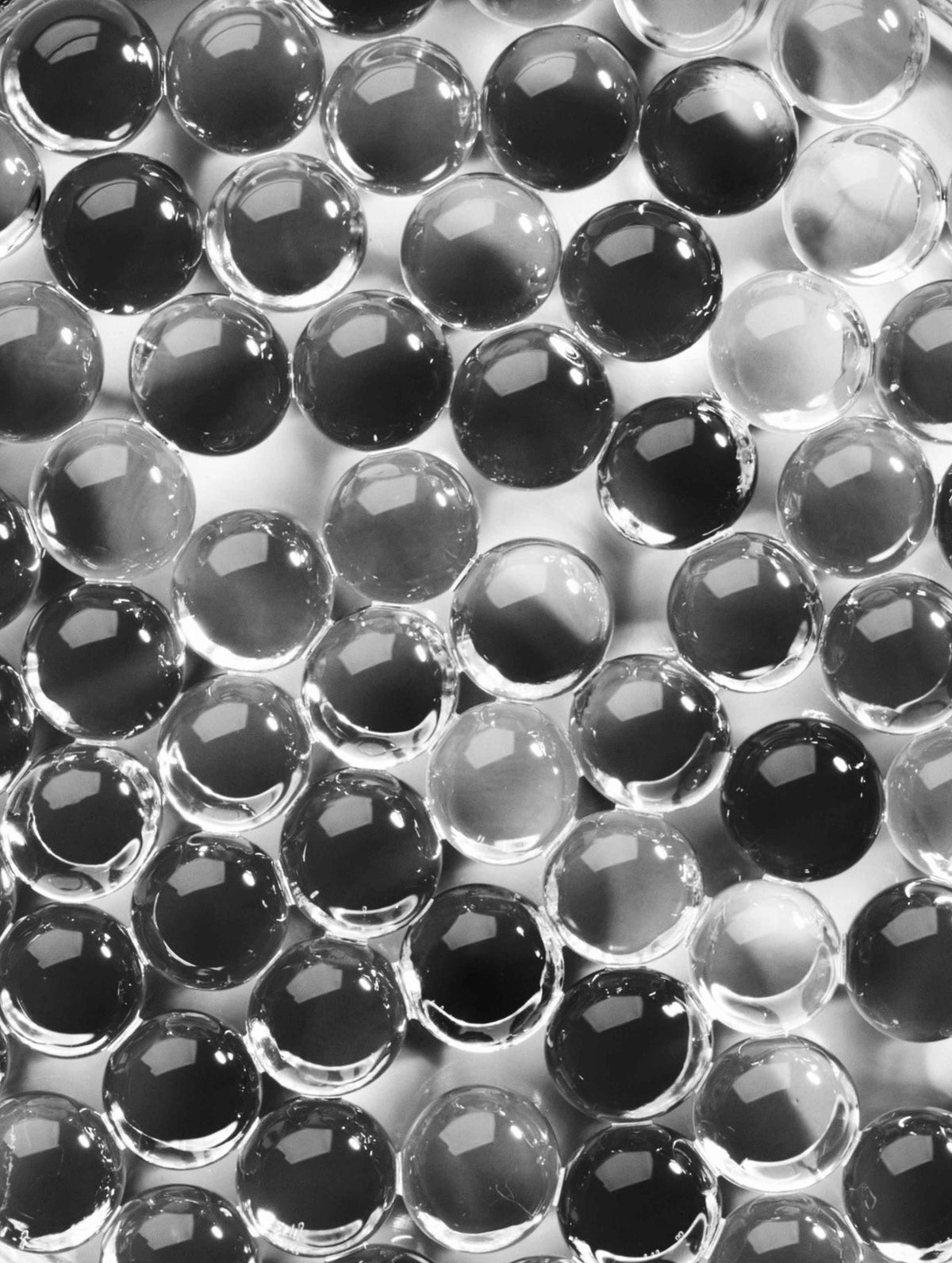 Ceramide-Lipid Complex